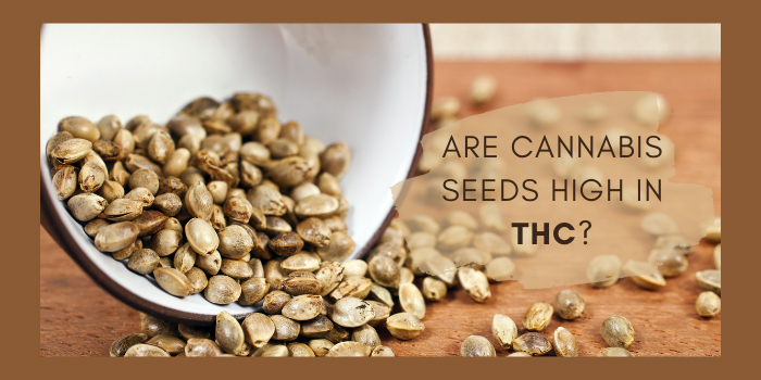 Are Cannabis Seeds High In THC?