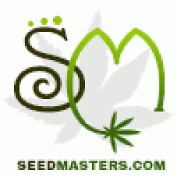 Top 20 Cannabis Seeds