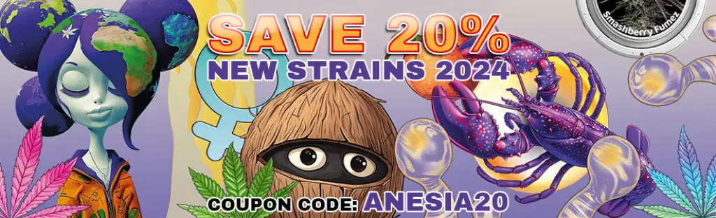 Anesia Seeds Sale 2024