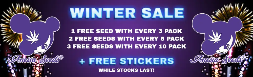 Anesia Seeds - Free Seeds With Every Pack!