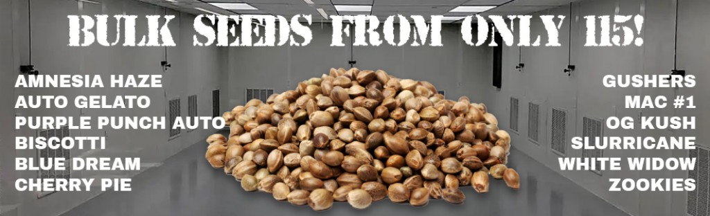 Bulk Cannabis Seeds