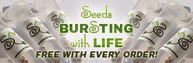 Free Cannabis Seeds With Every Order!