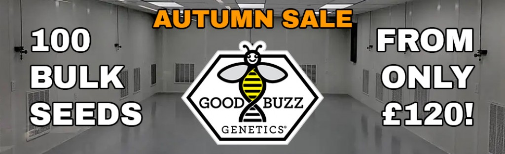 Good Buzz Genatics Sale