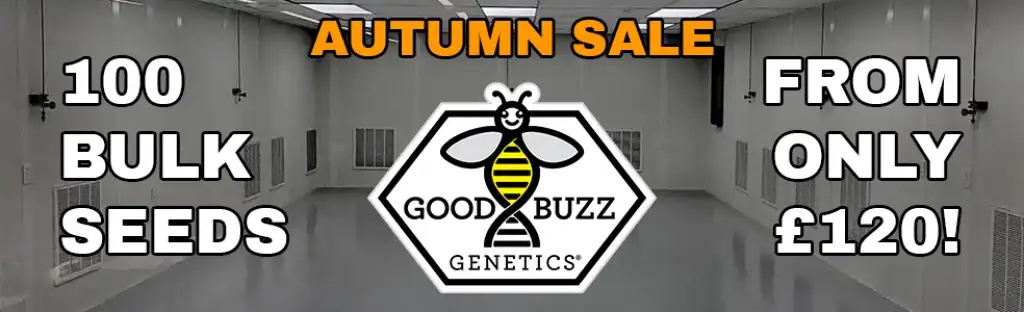 Good Buzz Genatics Sale