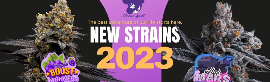 Anesia Seeds New Strains 2023