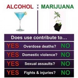7 Facts that show Alcohol is far more dangerous than Cannabis