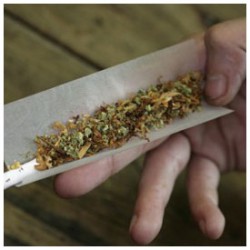 Cannabis users who put Tobacco in Joints 'more likely to be addicted'