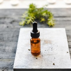 Cannabidiol 101 - What is CBD & What's It Used For?