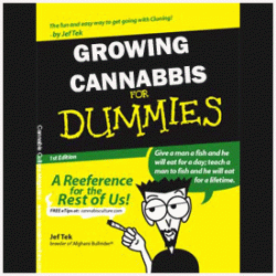 Cannabis Growing for Dummies