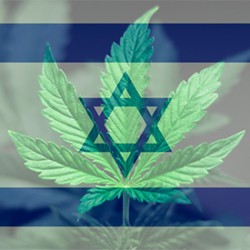 The Israeli Recreational Cannabis Market
