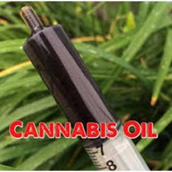 How to create Cannabis Oil at Home