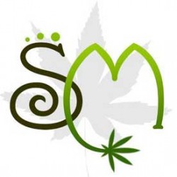 Quality Cannabis Seeds