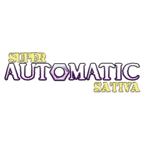Super Automatic Sativa Big Buddha Seeds