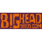 Big Head Seeds