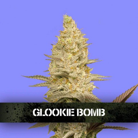 Glookie Bomb