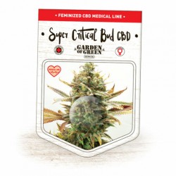 Super Critical Bud CBD