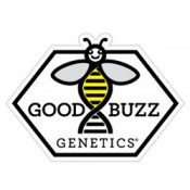 Good Buzz Genetics