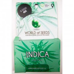 Pure Origins Fem Indica Colection Cannabis Seeds