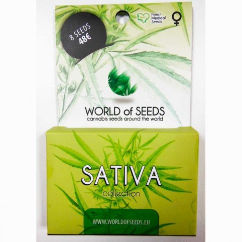 Pure Origins Fem Sativa Collection Cannabis Seeds