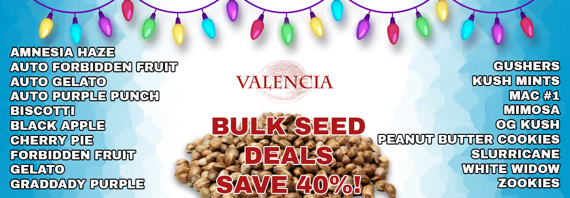 Valencia Bulk Seeds