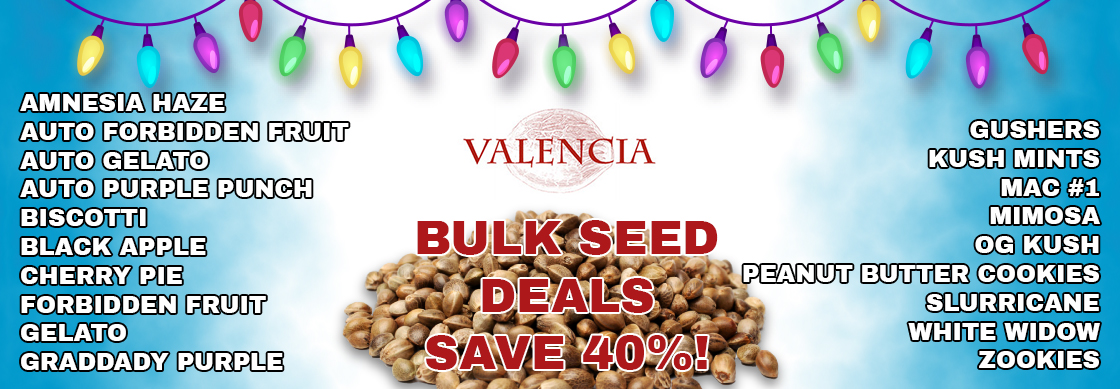 Valencia Bulk Seeds