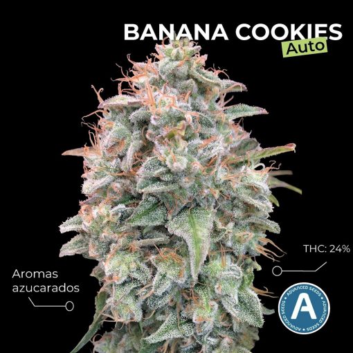 Banana Cookies