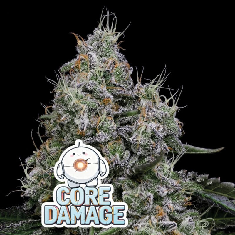 Core Damage