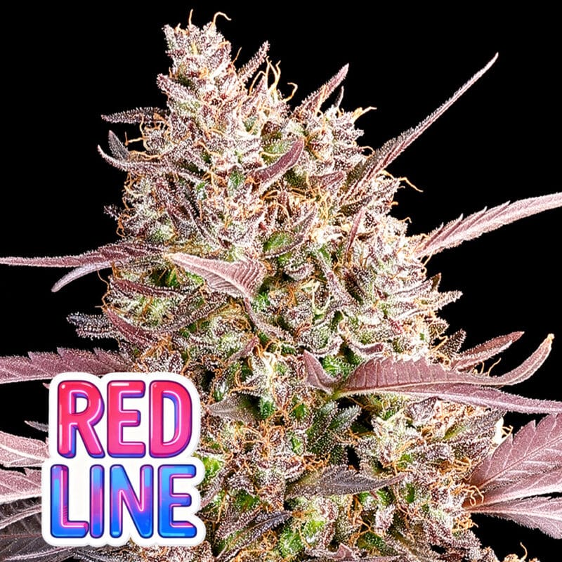Redline