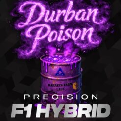 Durban Poison F1