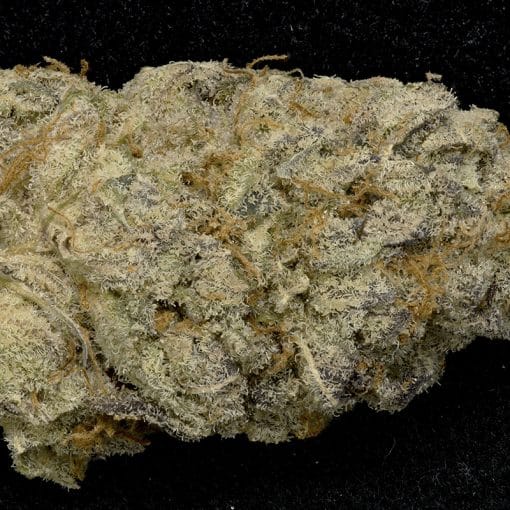 Purple Punch