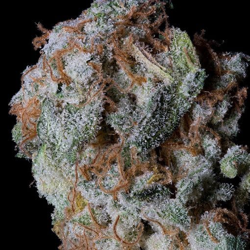 Sherbert Glue