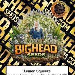 Lemon Squeeze