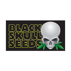 Black Skull Seeds