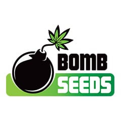 Bomb Seeds