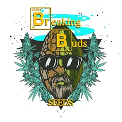 Breaking Buds