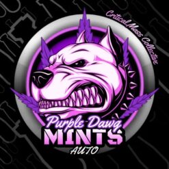 Auto Purple Dawg MInts