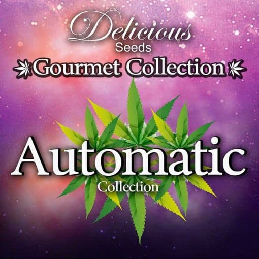 Gourmet Auto Mix