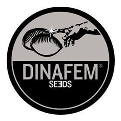 Dinafem Seeds