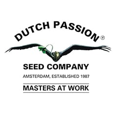 Dutch Passion