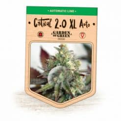 Critical 2.0 XL Auto