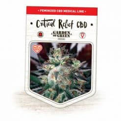 Critical Relief CBD