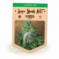 Super Skunk Auto