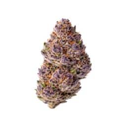 Unicorn Wagyu Auto