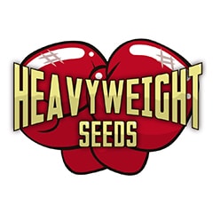 Heavyweight Seeds