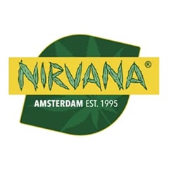 Nirvana