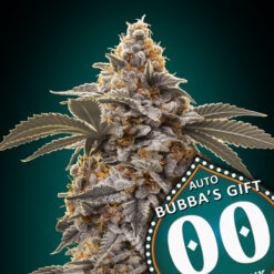 Auto Bubba's Gift
