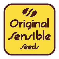 Original Sensible