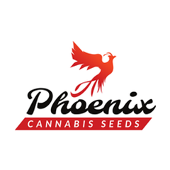Phoenix Seeds