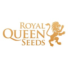 Royal Queen Seeds