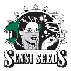 Sensi Seeds